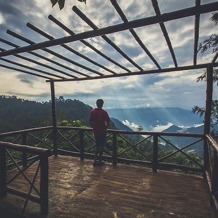 After The Rains - Rainforest Lodge Meppadi Ngoại thất bức ảnh