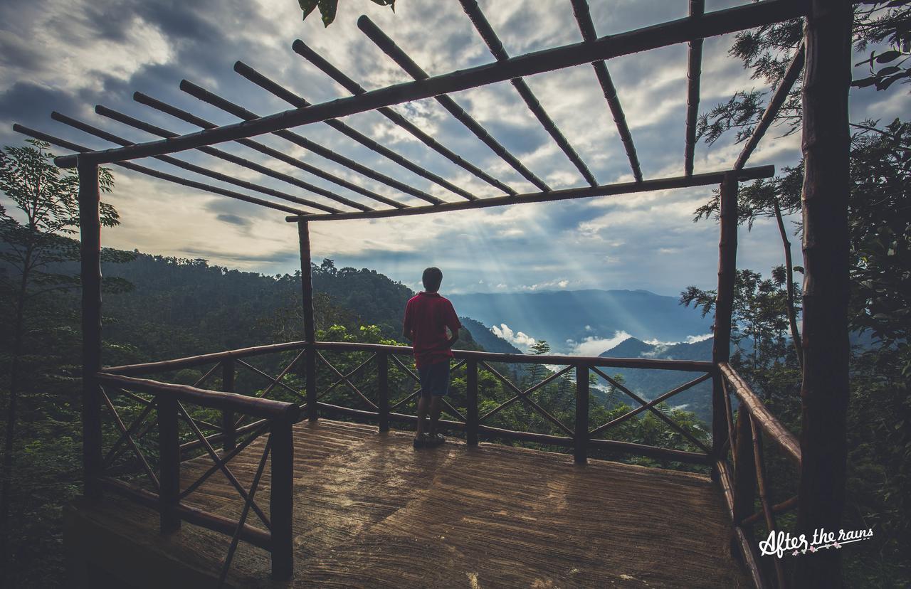 After The Rains - Rainforest Lodge Meppadi Ngoại thất bức ảnh